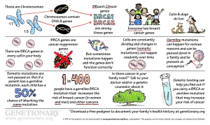 BRCA Simplified