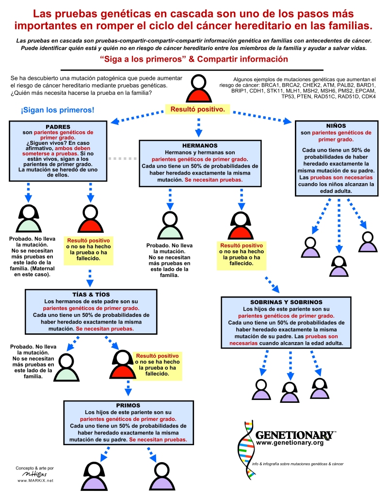 Infografa sobre las pruebas genticas en cascada