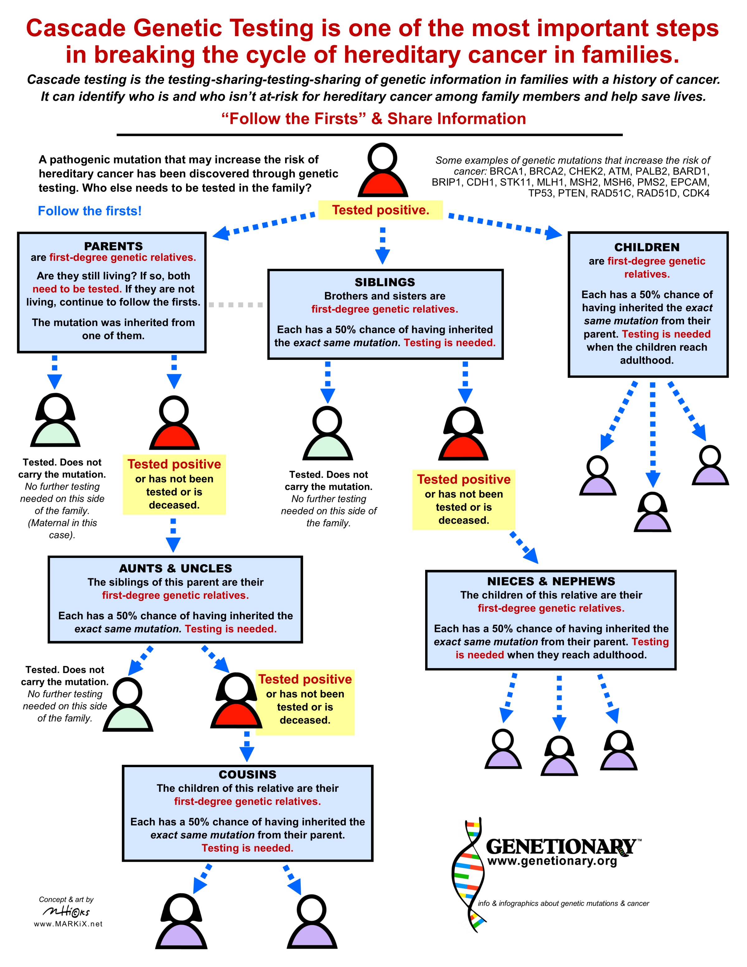 Cascade Testing Infographic thumbnail